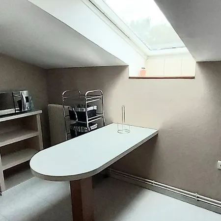 Apartment Sous Les Toits Spinaliens, Proche Commerces